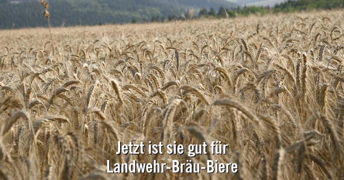 Landwehr Bräu Braugerste