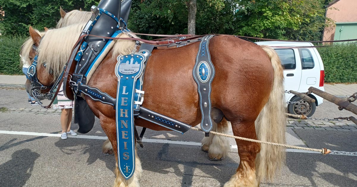Kirchweihumzug Gunzenhausen Landwehr Bräu Bier